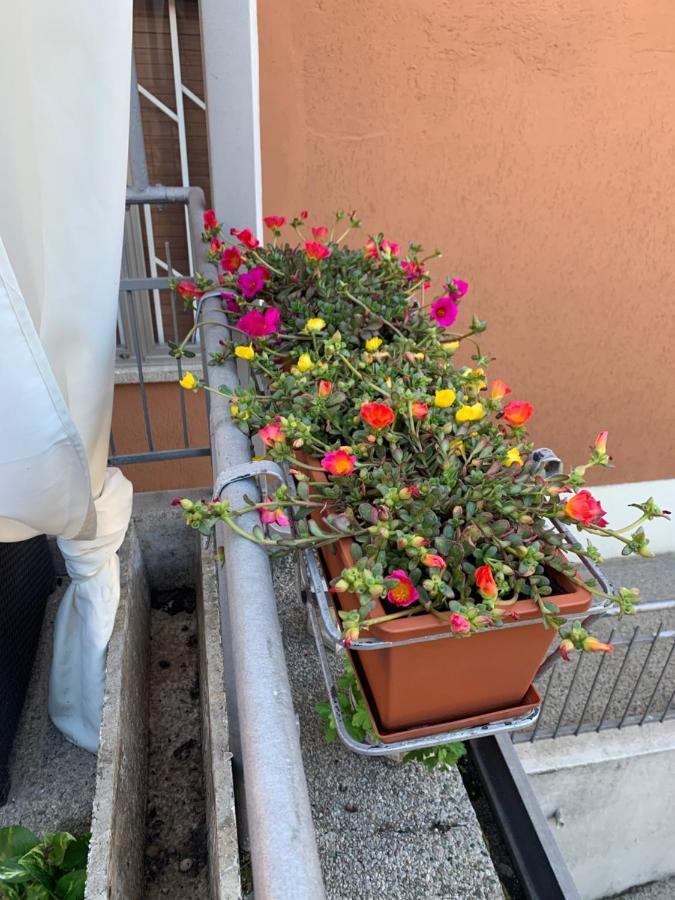 New Verona Business And Fun G B Rossi Friendly Exteriör bild
